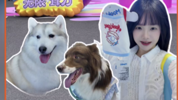 More than just a pet expo: fashion, family, and fur babies