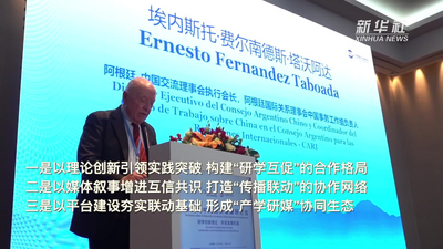 新时代中阿经济发展研讨会在阿根廷举行