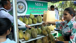 Myanmar eyes Chinese market for durian exports