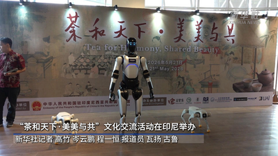 “茶和天下·美美与共”文化交流活动在印尼举办