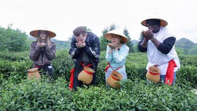 中国茶香架起中外文明互鉴之桥