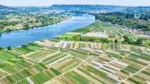 China unveils its first open-source AI model for crop protection