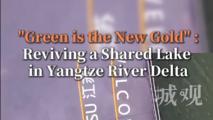 "Green is the new gold": reviving a shared lake in Yangtze River Delta