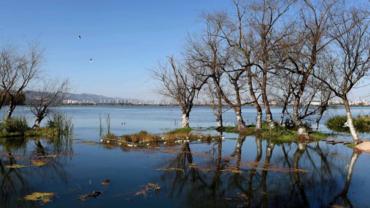 Forum on promoting global ecological civilization held in southwest China