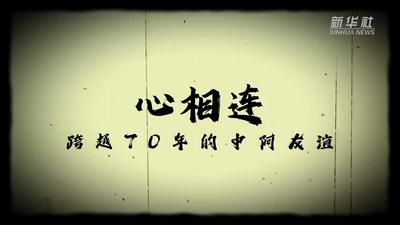 心相连——跨越70年的中阿友谊