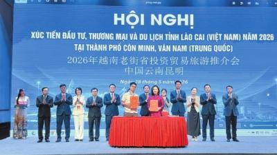 一次折射合作温度的推介