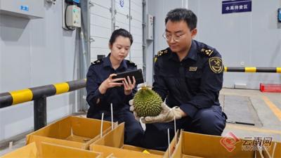 云南口岸果香飘