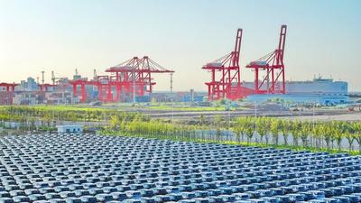 特稿丨践行气候之诺 中国同世界共绘绿色未来