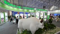 China's growing appetite for climate-conscious food helps protect Brazil's rainforest