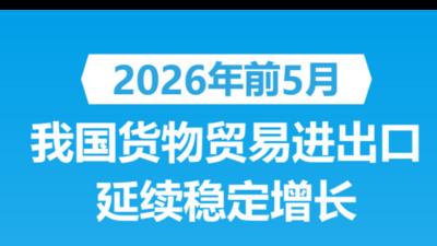 前5月我国货物贸易进出口延续稳定增长