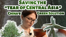 Amazing China | Saving the "Tear of Central Asia" -- China's Green Solution
