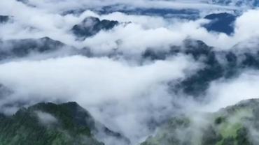 Int'l guests spotlight sustainable development, cooperation in central China's Shennongjia