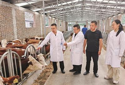 柳林县“三区”科技特派员工作全面启动