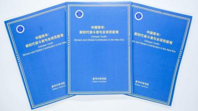 新华社国家高端智库发布“中国青年”报告