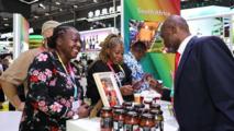 Economic Watch: Central Chinese province boosts China-Africa trade with policy innovation