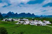 "AI+mulberry silk" paves new road to prosperity in S China's Guangxi