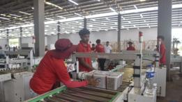 Feature: Cambodian farmers, exporters thrive as direct China longan trade booms