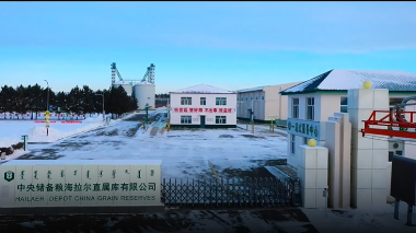 逆势而上——秋粮收购背后的攻坚故事