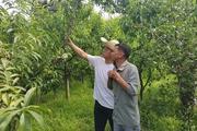 The village "general manager" behind rural China's revival