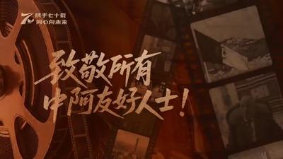 中阿友好杰出贡献者系列访谈丨阿中友协会长迪布什
