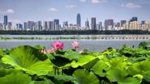 Building on green gains, roadmap charts next five years for a Beautiful China