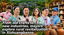 From old crafts to new industries, mayors explore rural revitalization in Xishuangbanna
