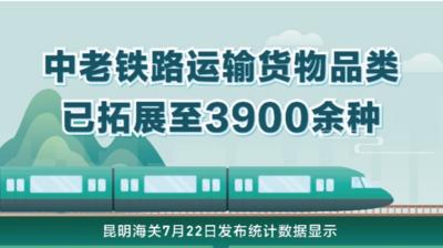 中老铁路运输货物品类已拓展至3900余种