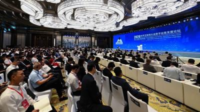 多国嘉宾相聚西安 为数字丝路建设投下支持票