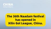 ChinaInNumbers | The 36th Naadam festival has opened in Xilin Gol League, China