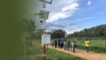 AI from China Benefits the World | "Smart Courtyards" Breathe New Life into Brazilian Family Farms
