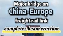 Major bridge on China-Europe freight rail link completes beam erection