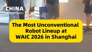 ChinaInNumbers | The most unconventional robot lineup at WAIC 2026 in Shanghai