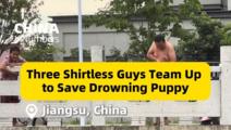 ChinaInNumbers | Three shirtless guys team up to save drowning puppy