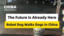 ChinaInNumbers | Robot dog walks dogs in China