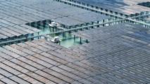China targets 50-pct non-fossil power generation by 2030