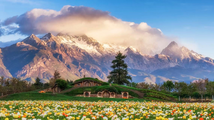 Multi-format offerings invigorate tourism market in Lijiang, SW China