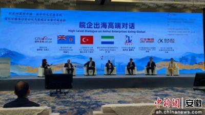 十余国驻华外交官齐聚合肥