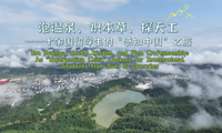 Discover amazing Yichun in central China in a 3-day trip