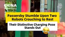 ChinaInNumbers | Passersby stumble upon two robots crouching to rest