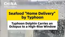 ChinaInNumbers | Seafood "home delivery" by typhoon