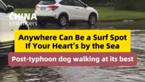 ChinaInNumbers | Anywhere can be a surf spot