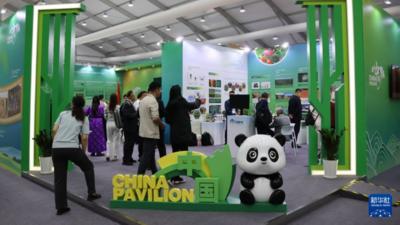 COP17“中国角”展示中国防沙治沙成效
