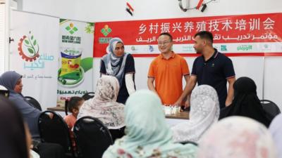 通讯丨从“养鸡课堂”到增收致富——中国企业助力埃及乡村发展