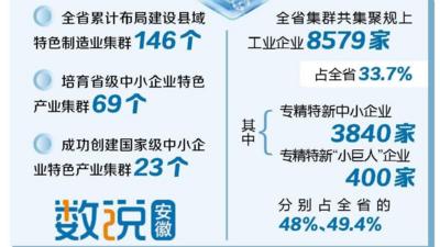 安徽布局建设县域制造业集群146个——县县有集群 一业一特色