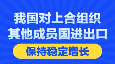 我国对上合组织其他成员国进出口保持稳定增长
