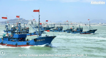 New fishing season begins in China's Yellow and Bohai seas