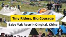 ChinaInNumbers | Tiny riders, big courage