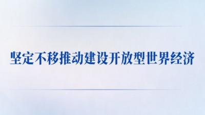 学习手记丨坚定不移推动建设开放型世界经济