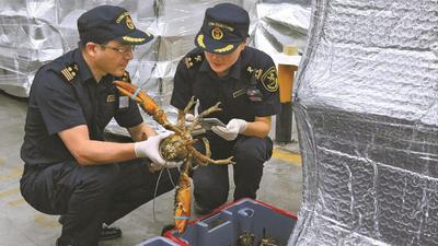 宁波空港口岸前7月进口生鲜同比增长6.2倍