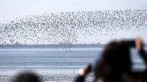 China's "golden outer ring" highways fuel new economic corridors